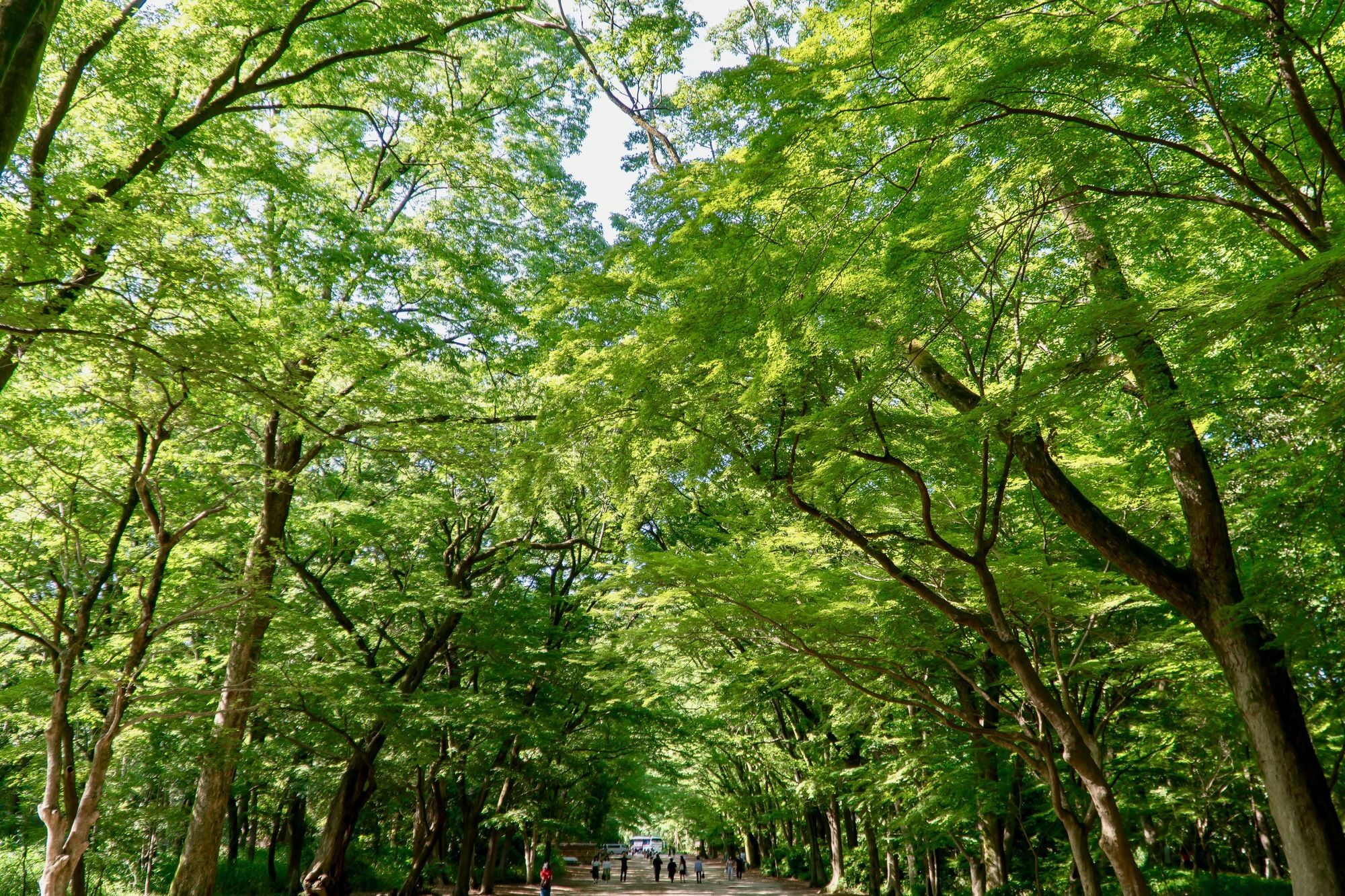 WeBase 京都 エクステリア 写真
